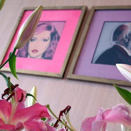 Amiraute Hotel Cannes